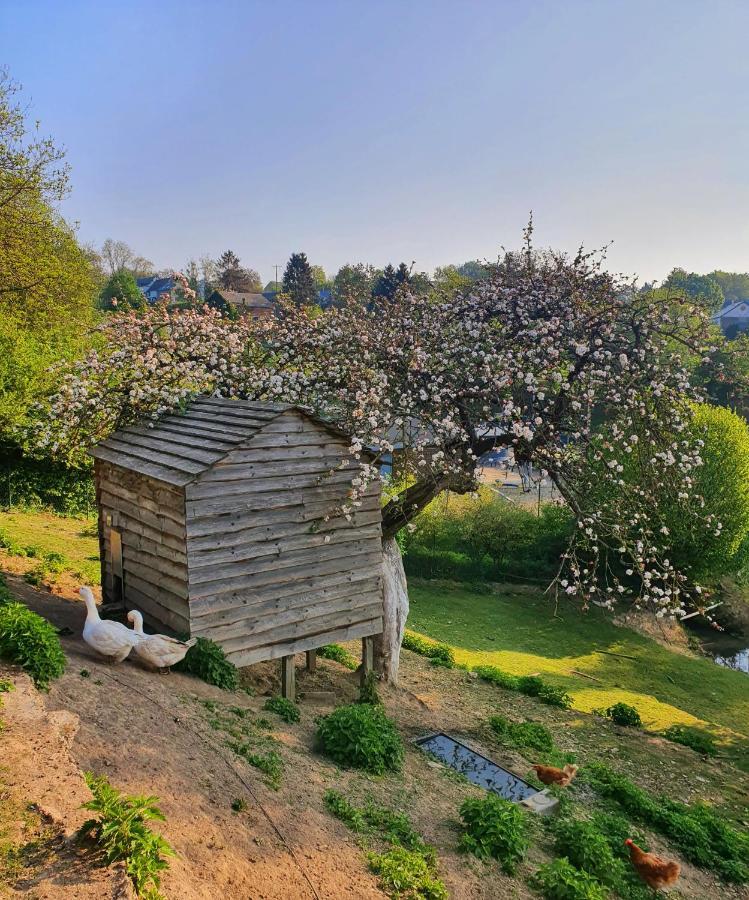 La Maison Du Sabotier Custinne Luaran gambar